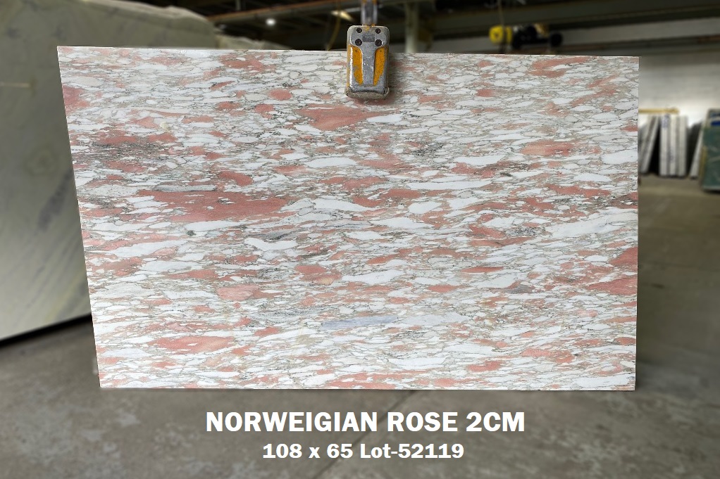 Norwegian Rose